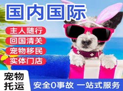 南通航空运输国际宠物托运 【国